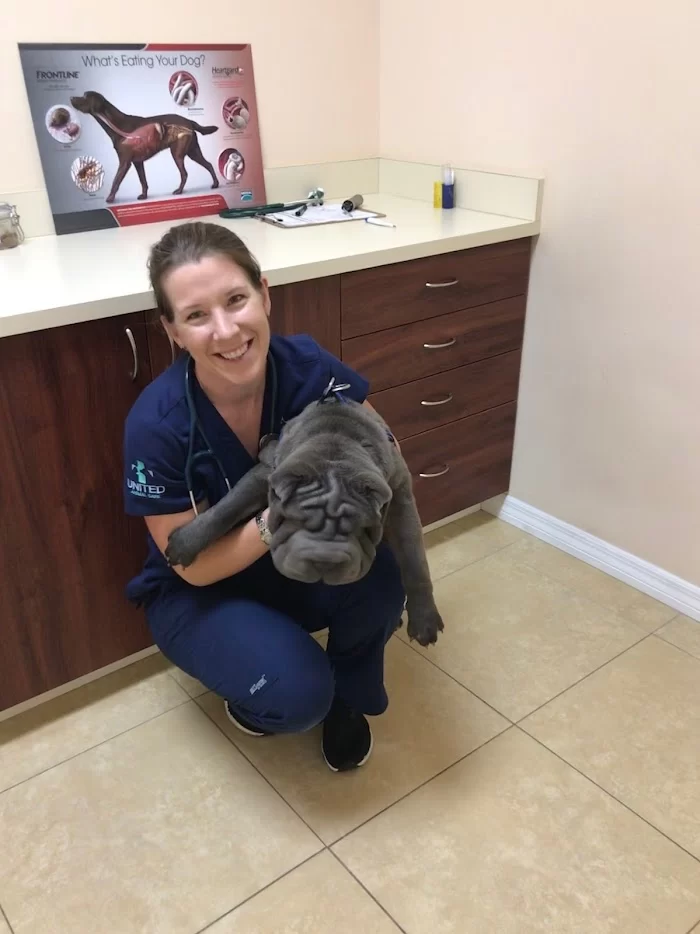 Grove Animal Hospital 8