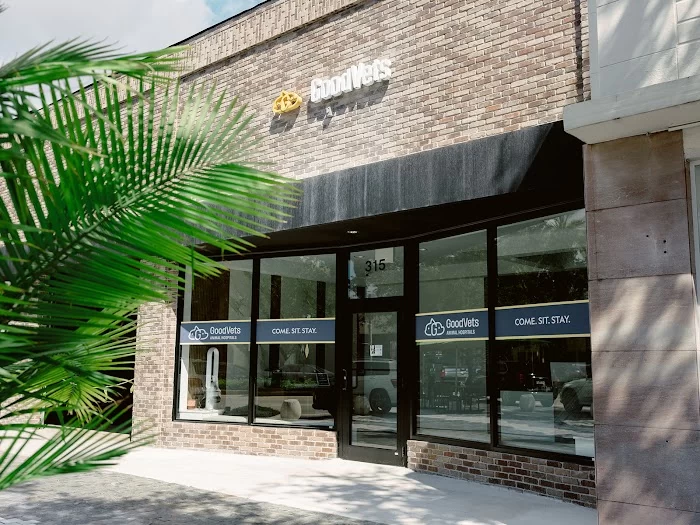 GoodVets Coral Gables 2
