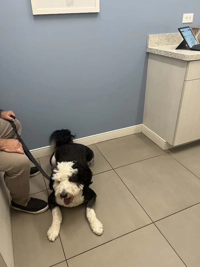 GoodVets Coral Gables 3