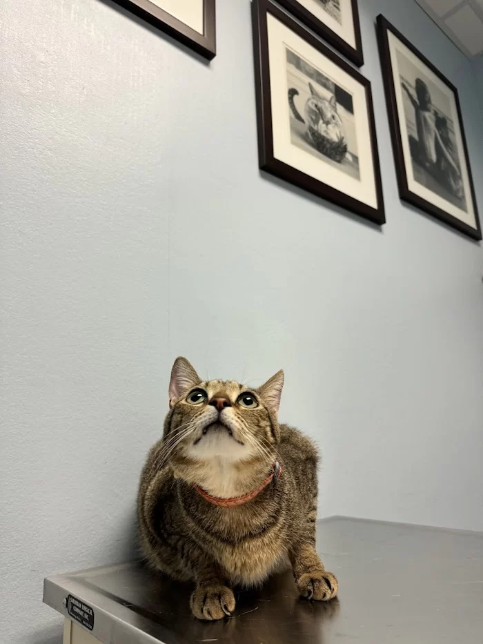 Red Bird Animal Clinic 12