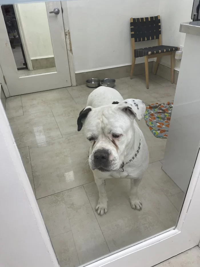 Trail Animal Hospital 12