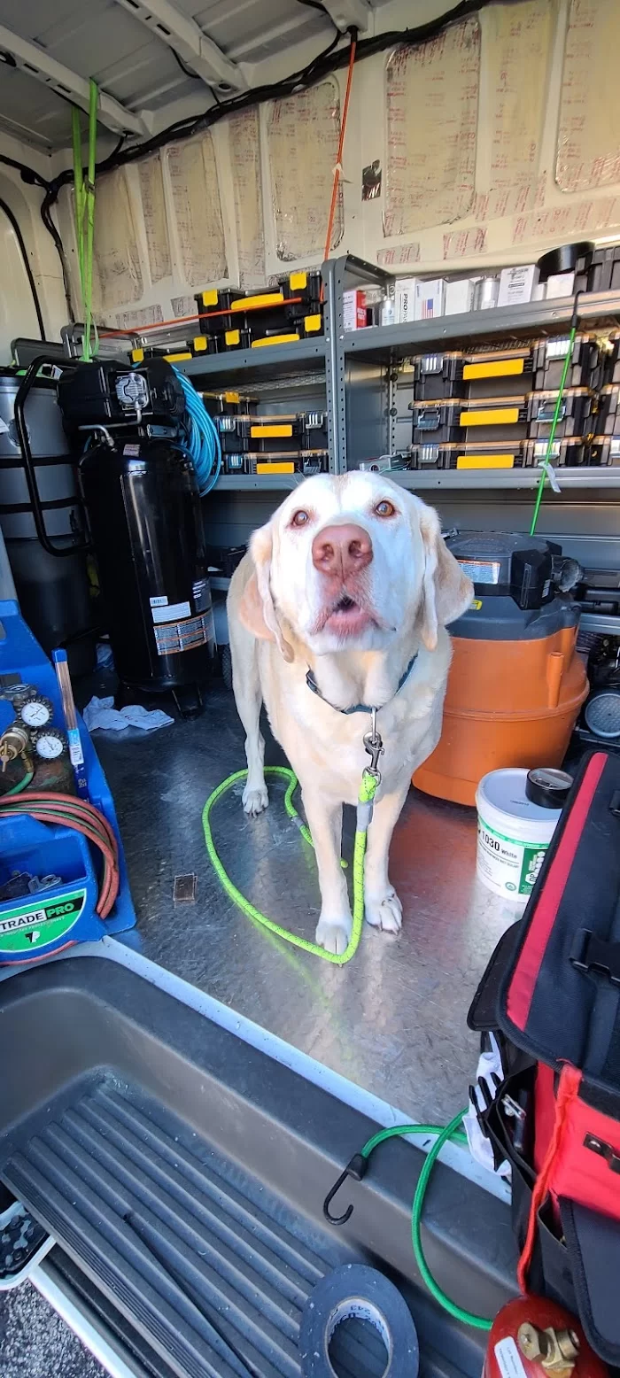 Trail Animal Hospital 12