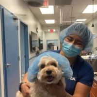 VCA Cabrera Animal Hospital ico