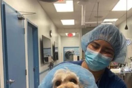 VCA Cabrera Animal Hospital