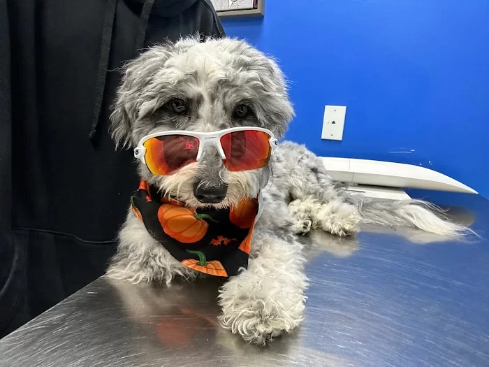 Miami Animal Clinic 3