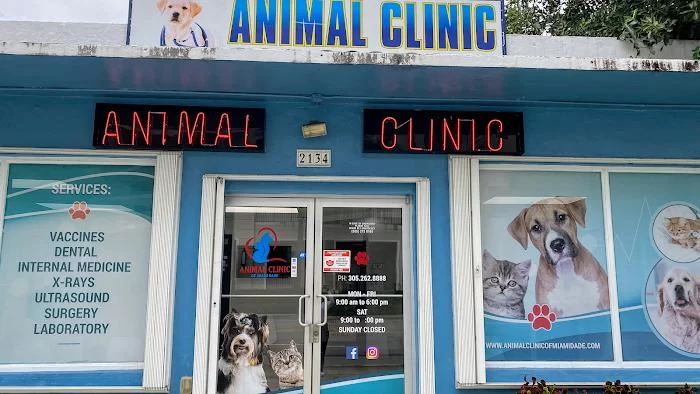 Animal Clinic of Miami Dade 9
