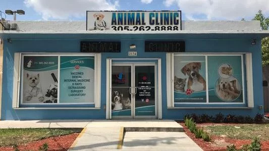 Animal Clinic of Miami Dade 4