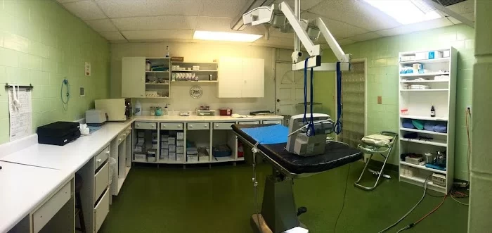 Ponce De Leon Animal Clinic 1