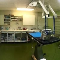 Ponce De Leon Animal Clinic ico