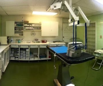 Ponce De Leon Animal Clinic