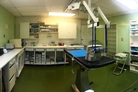 Ponce De Leon Animal Clinic