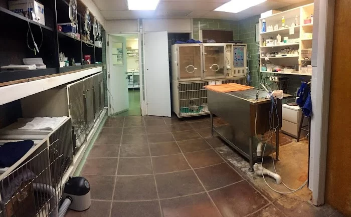 Ponce De Leon Animal Clinic 5