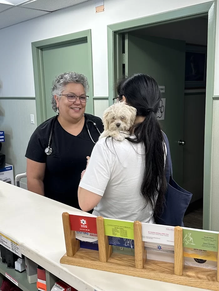 Coral Gables Animal Hospital 7