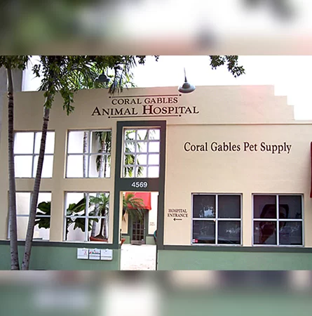 Coral Gables Animal Hospital 5