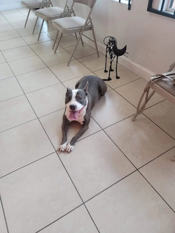 Flagler Animal Clinic 12