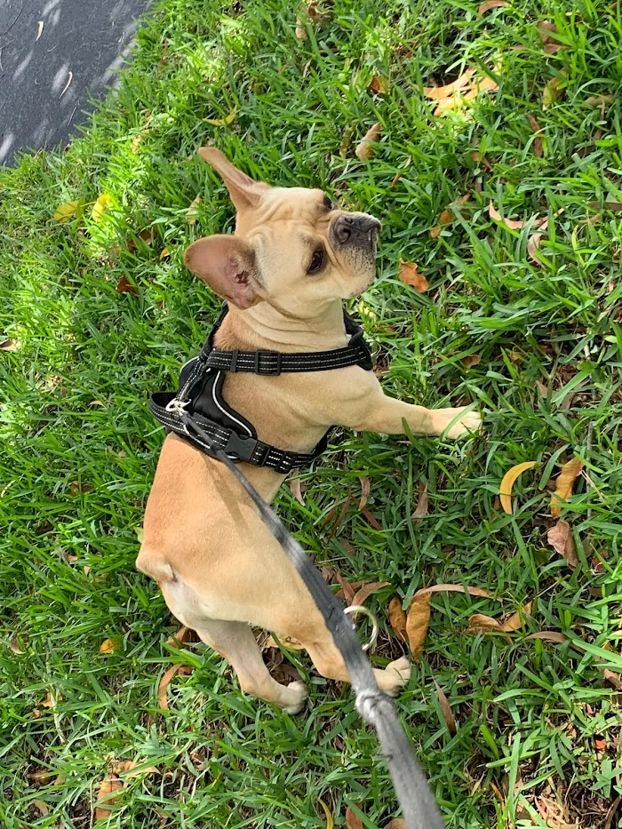 Flagler Animal Clinic 12
