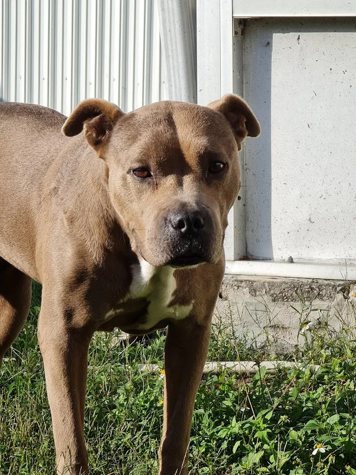 Flagler Animal Clinic 12