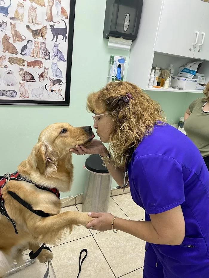 Four Paws Angels Animal Clinic 8