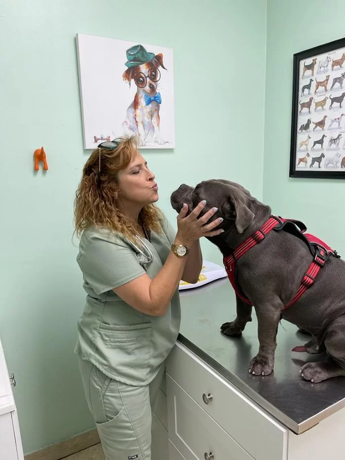 Four Paws Angels Animal Clinic 3