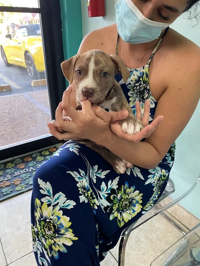 Four Paws Angels Animal Clinic 7
