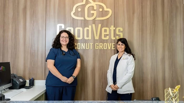 GoodVets Coconut Grove 12