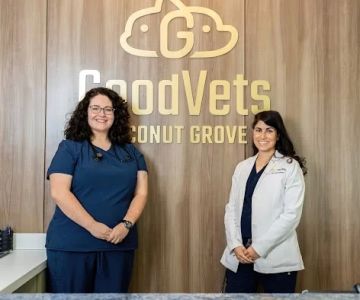GoodVets Coconut Grove