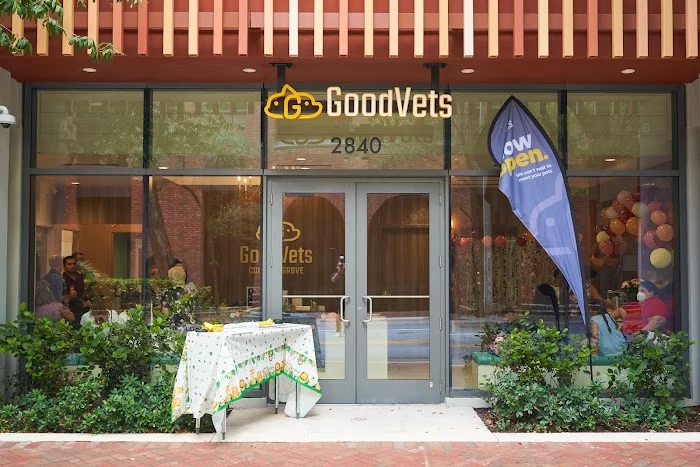 GoodVets Coconut Grove 12
