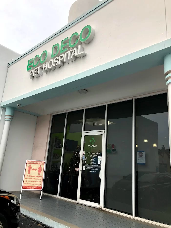 Eco Deco Pet Hospital 5