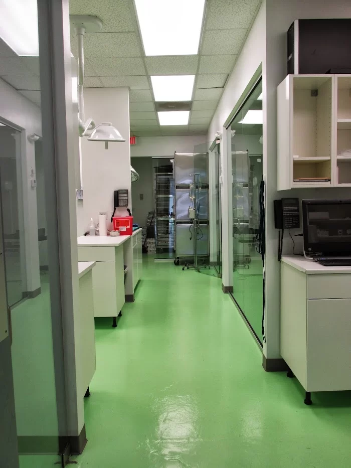 Eco Deco Pet Hospital 4