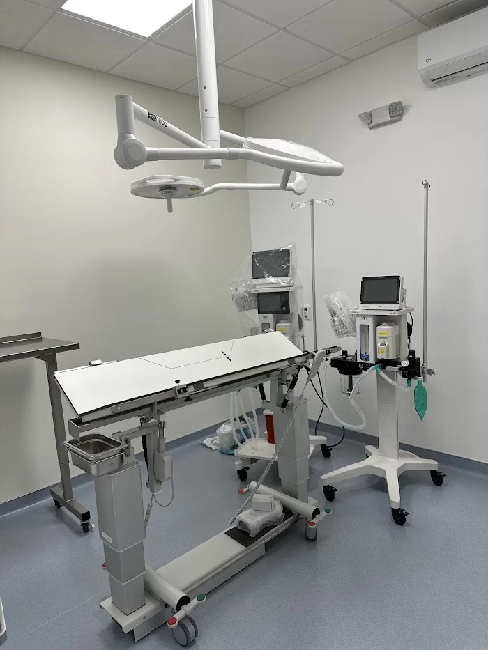 Similia Veterinary Services 7