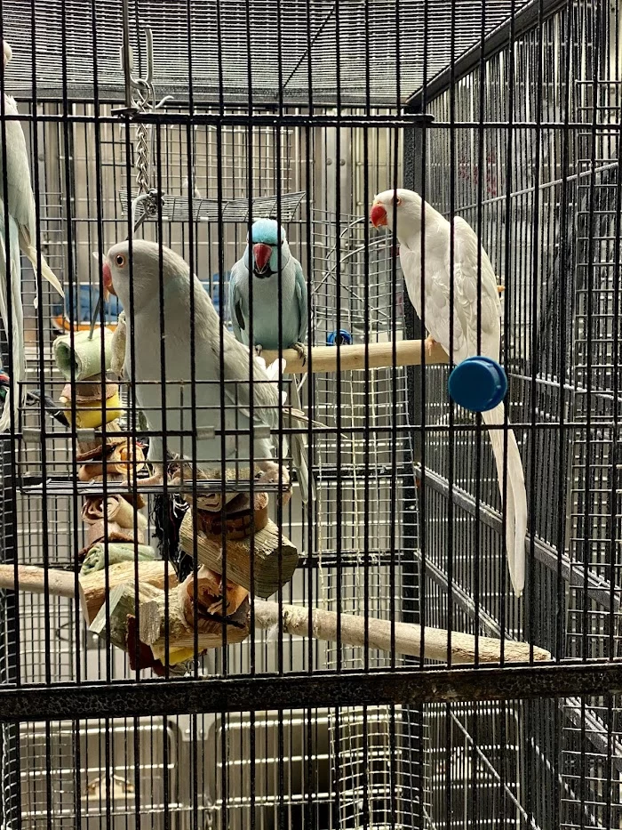 Junglelife Animal Hospital Inc 12