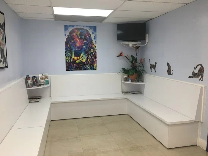 Miami Springs Animal Hospital 12