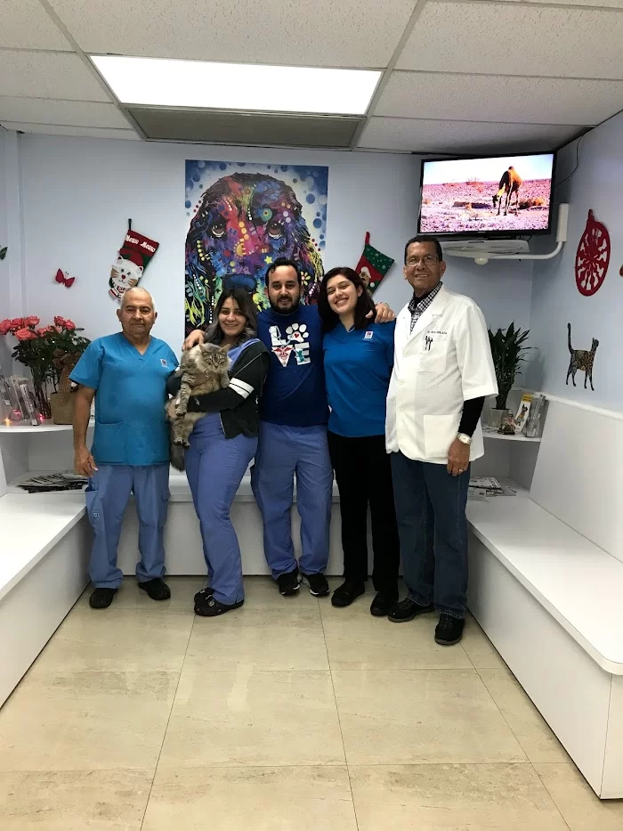 Miami Springs Animal Hospital 12
