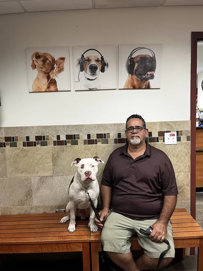 Panda Animal Clinic 12