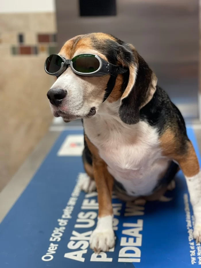 Benitez Animal Hospital 12