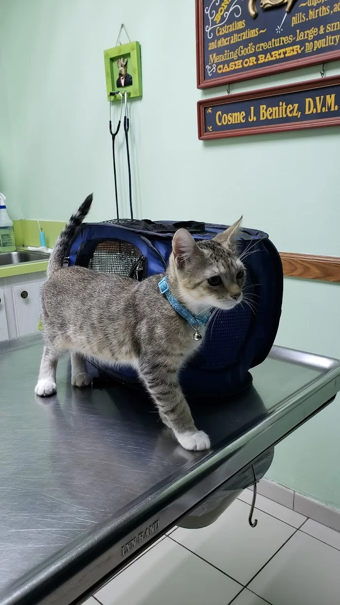 Benitez Animal Hospital 12