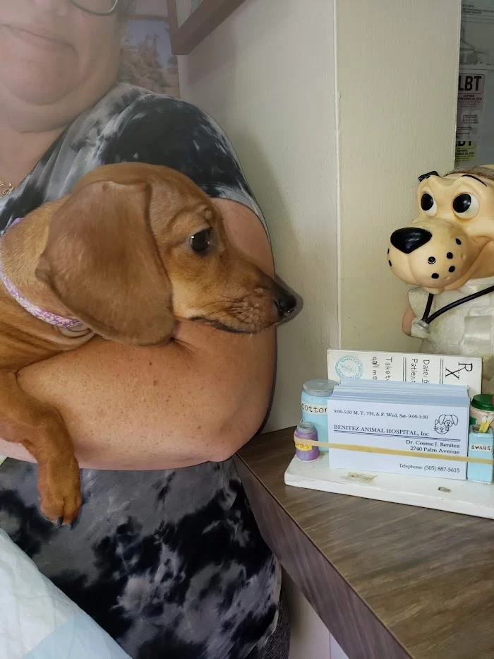 Benitez Animal Hospital 12