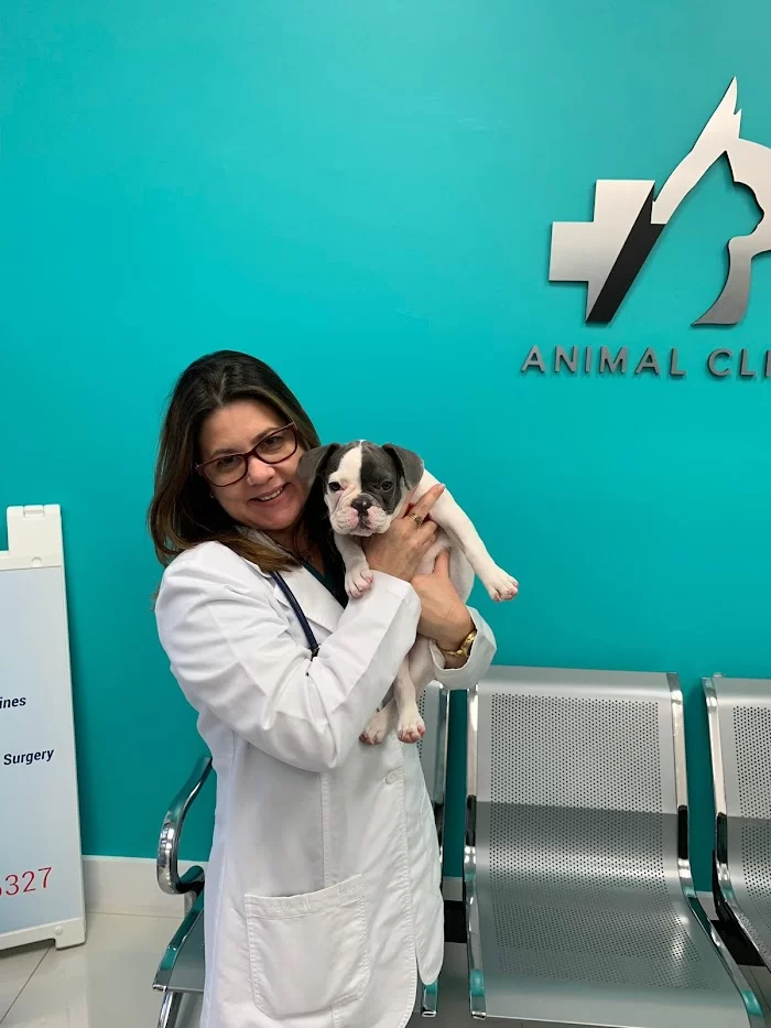 Fontes Animal Clinic 12