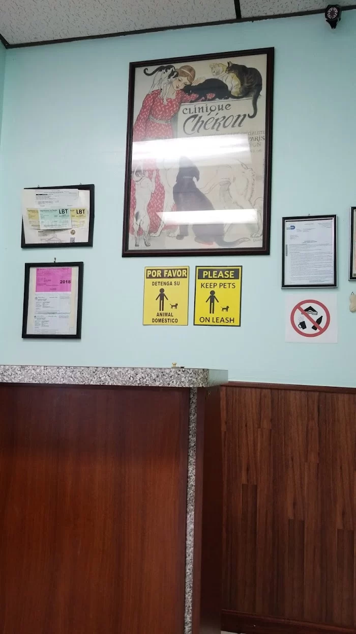 Lidia's Pet Grooming 6