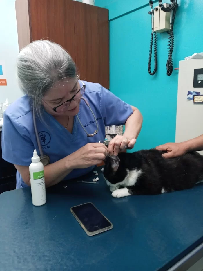 Lidia's Pet Grooming 2