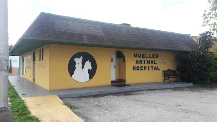Mueller Animal Hospital 12