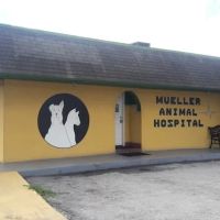 Mueller Animal Hospital ico