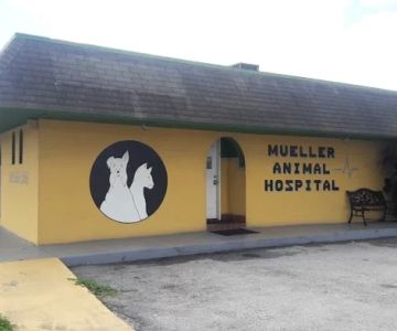 Mueller Animal Hospital