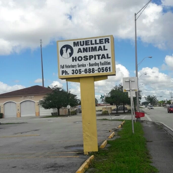 Mueller Animal Hospital 12