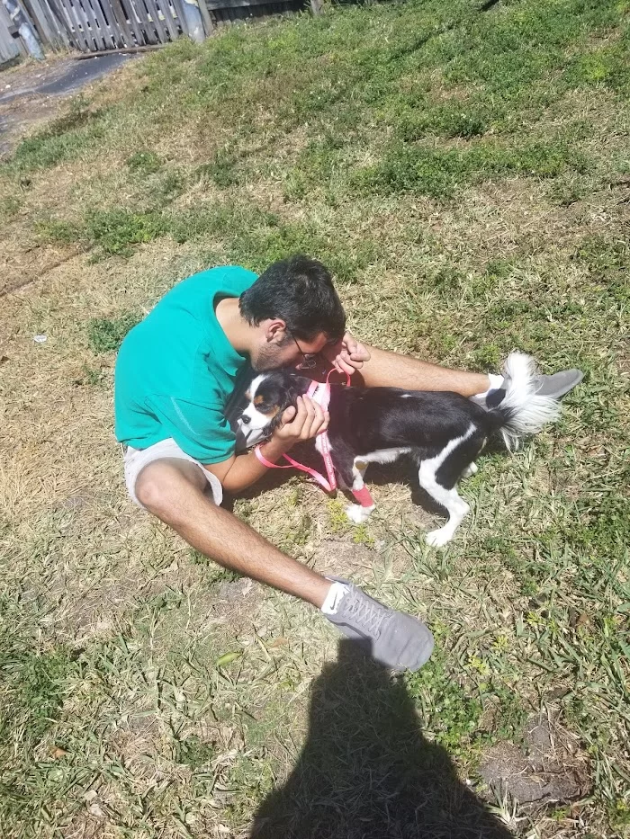 Mueller Animal Hospital 12