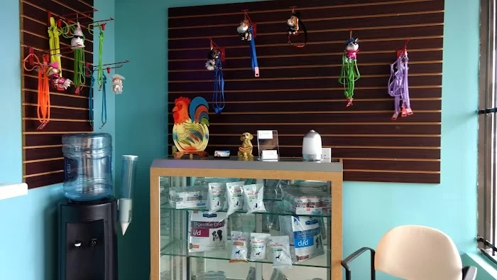 Veterinarian Small Animal 12