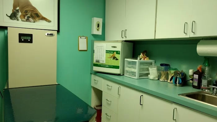 Veterinarian Small Animal 12