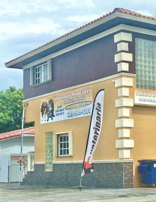Veterinary Associates of South Florida 12