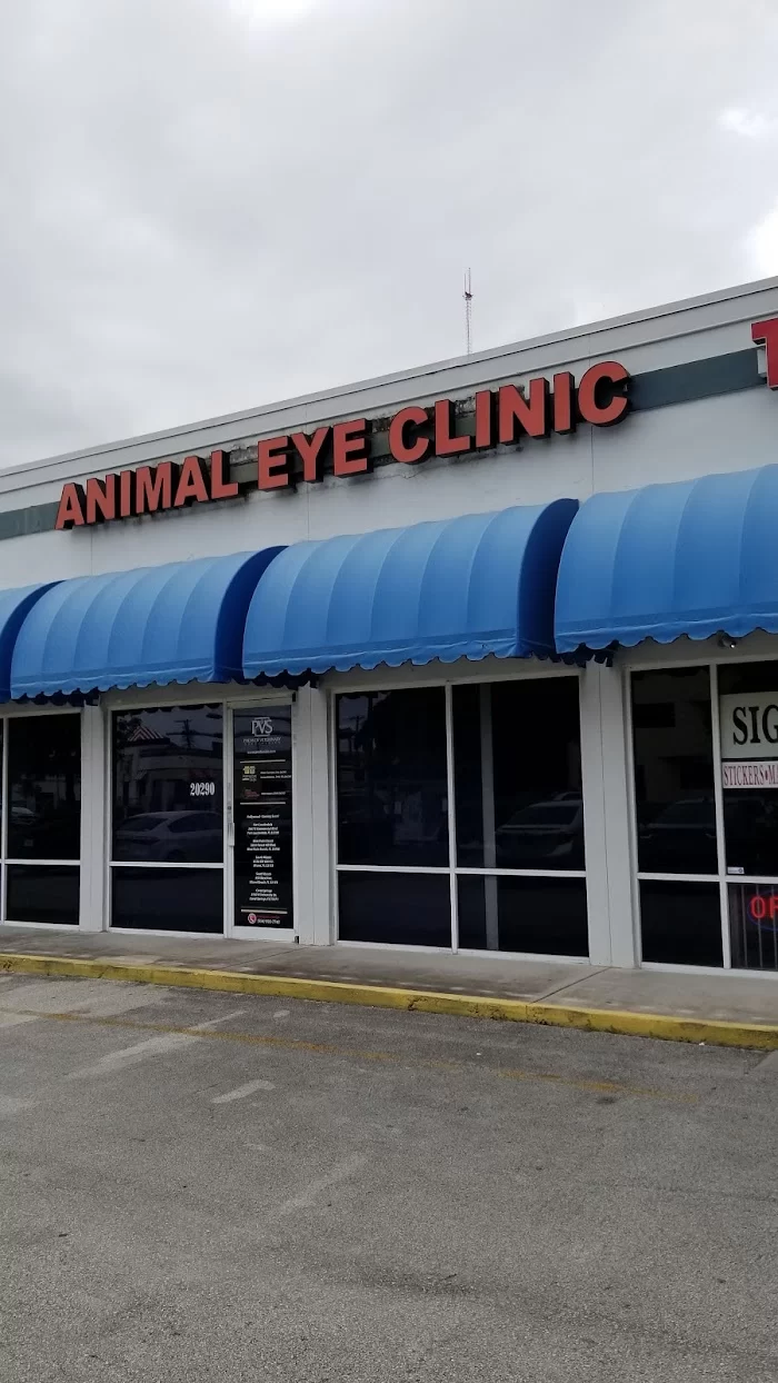 Animal Eye Guys (Miami Gardens) 12