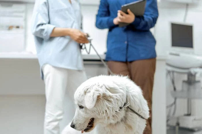 Bild Animal Hospital 12